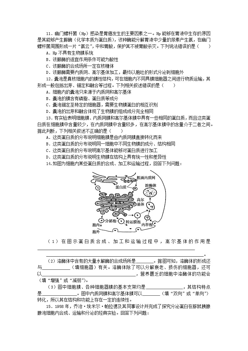 2023_2024学年新教材高中生物第3章细胞的基本结构3.2细胞器之间的分工合作3.2.2细胞器之间的协调配合课时作业新人教版必修1第3页