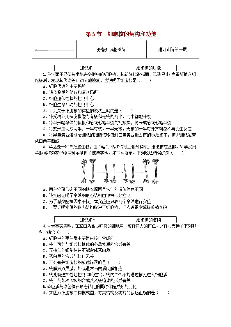2023_2024学年新教材高中生物第3章细胞的基本结构3.3细胞核的结构和功能课时作业新人教版必修101