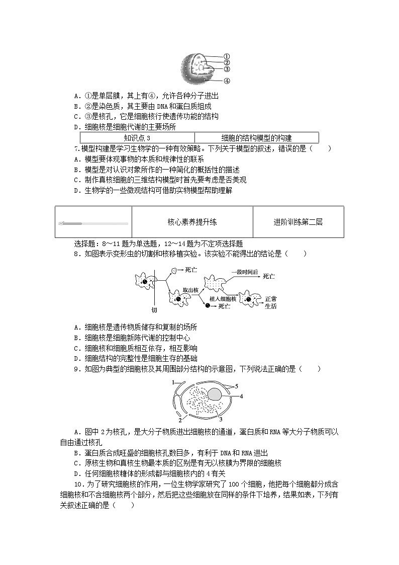 2023_2024学年新教材高中生物第3章细胞的基本结构3.3细胞核的结构和功能课时作业新人教版必修102