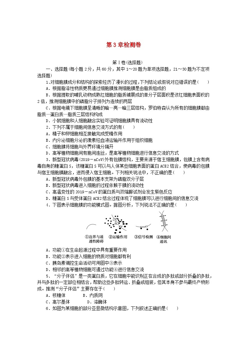 2023_2024学年新教材高中生物第3章细胞的基本结构检测卷新人教版必修101