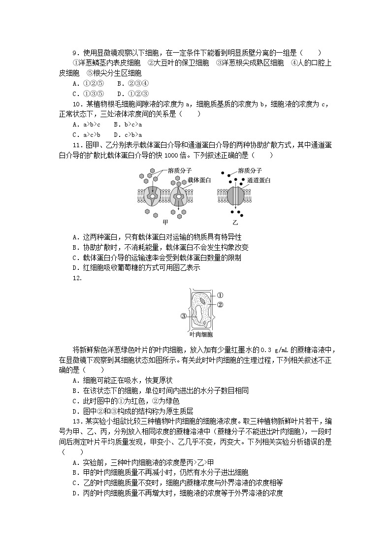 2023_2024学年新教材高中生物第4章细胞的物质输入和输出4.1被动运输课时作业新人教版必修103