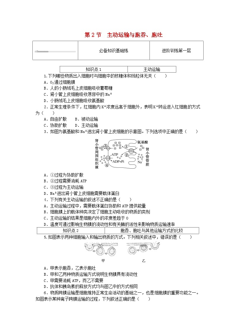 2023_2024学年新教材高中生物第4章细胞的物质输入和输出4.2主动运输与胞吞胞吐课时作业新人教版必修101