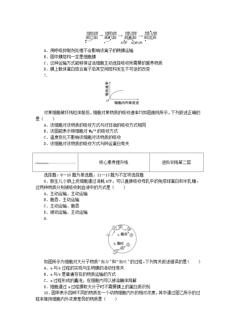 2023_2024学年新教材高中生物第4章细胞的物质输入和输出4.2主动运输与胞吞胞吐课时作业新人教版必修102