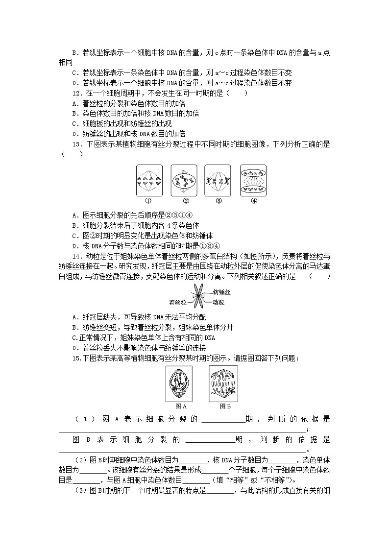 2023_2024学年新教材高中生物第6章细胞的生命历程6.1细胞的增殖6.1.1细胞增殖细胞周期和高等植物细胞的有丝分裂课时作业03