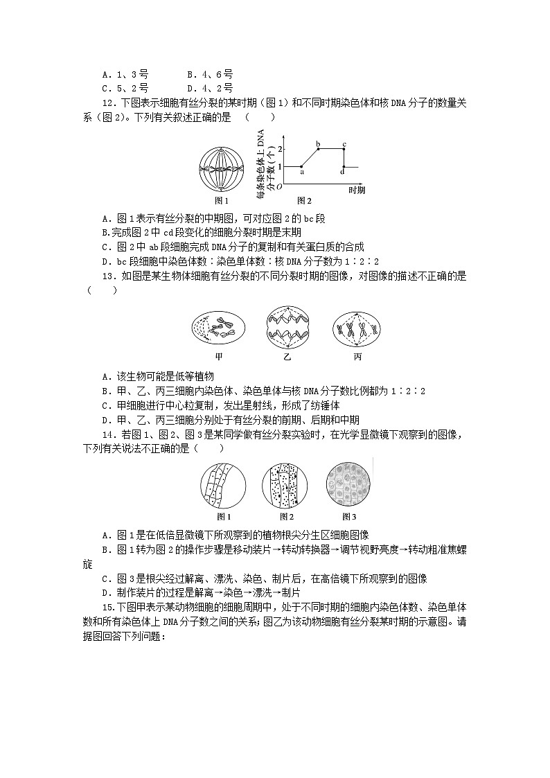 2023_2024学年新教材高中生物第6章细胞的生命历程6.1细胞的增殖6.1.2动物细胞的有丝分裂无丝分裂及观察根尖分生区组织细胞的有丝分裂课时作业新人教版必修103