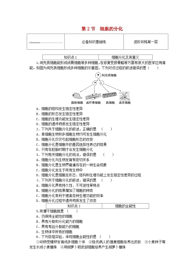 2023_2024学年新教材高中生物第6章细胞的生命历程6.2细胞的分化课时作业新人教版必修101