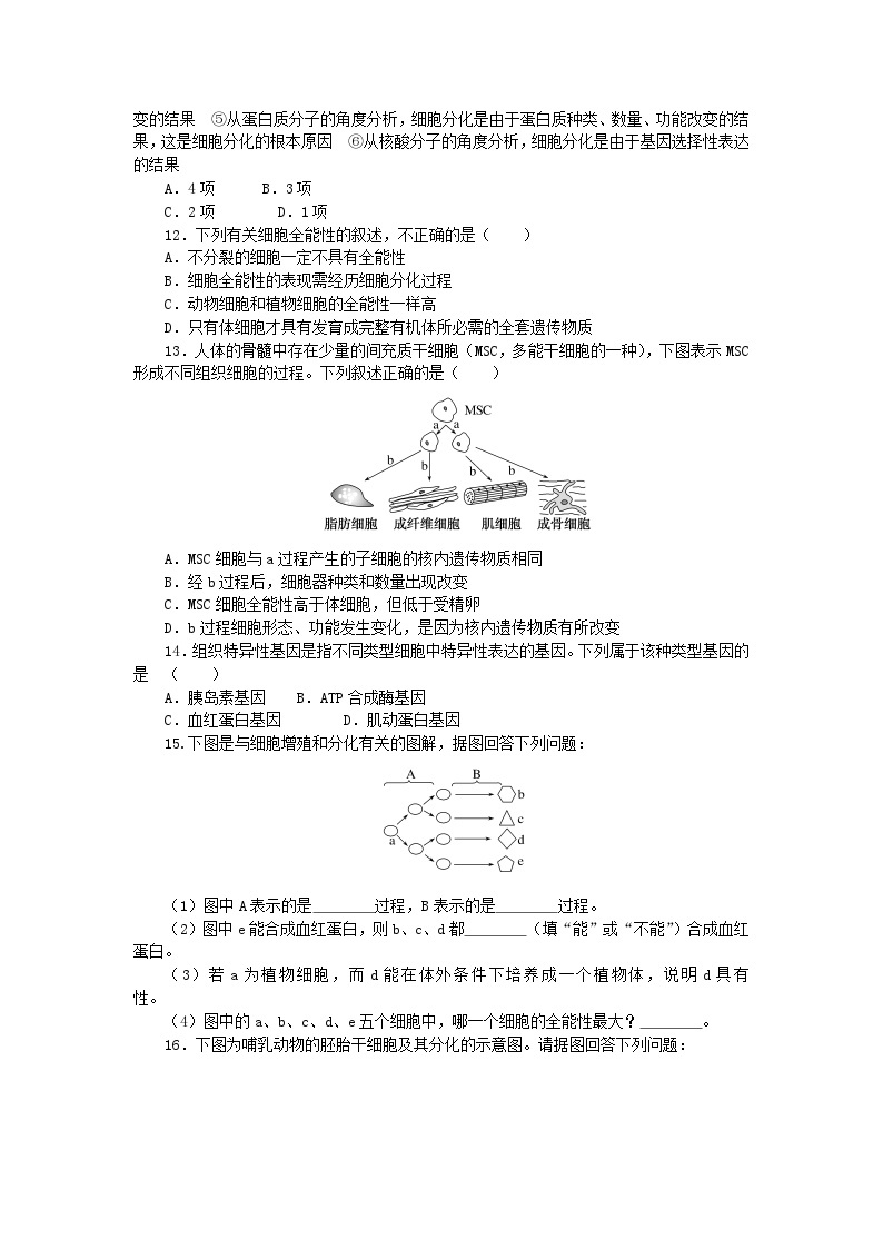 2023_2024学年新教材高中生物第6章细胞的生命历程6.2细胞的分化课时作业新人教版必修103