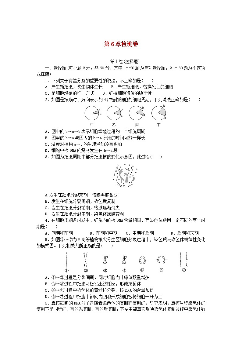 2023_2024学年新教材高中生物第6章细胞的生命历程检测卷新人教版必修101