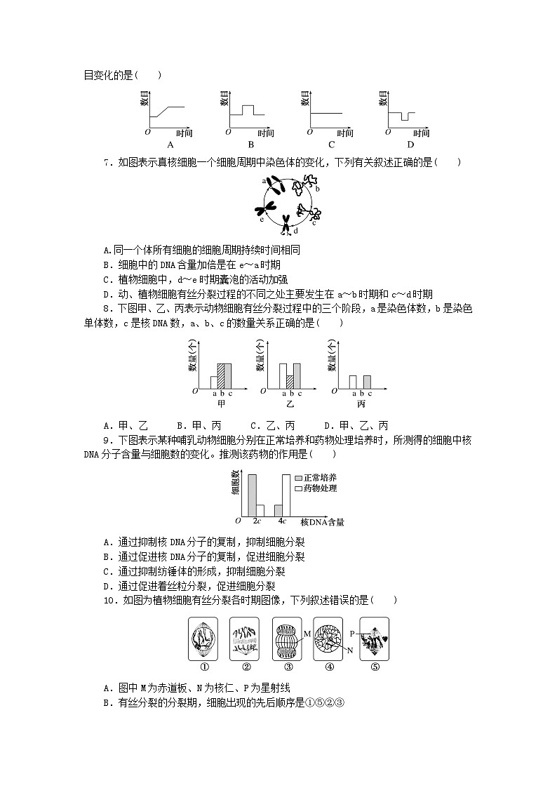 2023_2024学年新教材高中生物第6章细胞的生命历程检测卷新人教版必修102