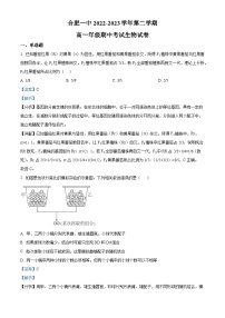 安徽省合肥市第一中学2022-2023学年高一生物下学期期中试题（Word版附解析）