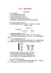 高中生物人教版 (2019)必修2《遗传与进化》第2节 基因在染色体上随堂练习题