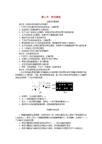 人教版 (2019)必修2《遗传与进化》第3节 伴性遗传课时训练