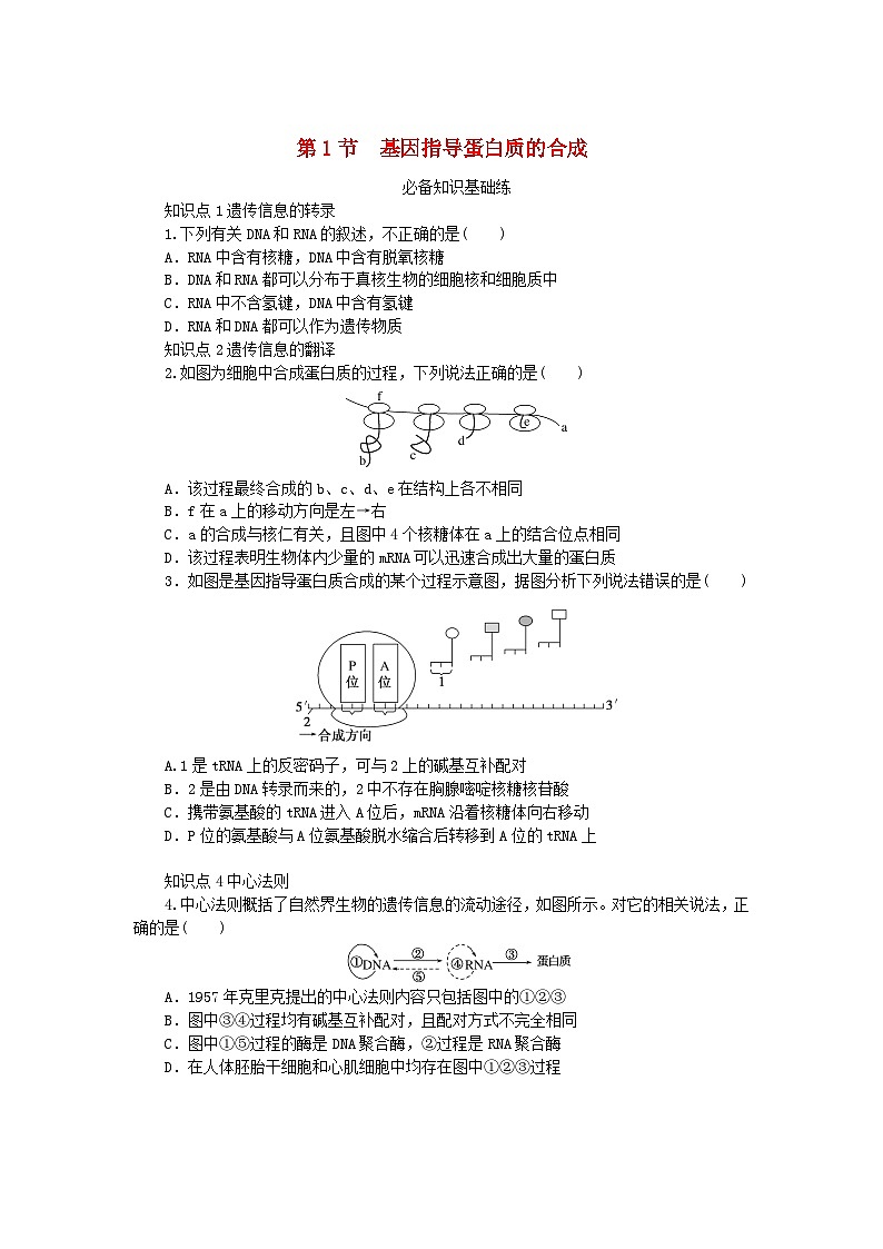 2023版新教材高中生物第4章基因的表达第1节基因指导蛋白质的合成课时作业新人教版必修2第1页