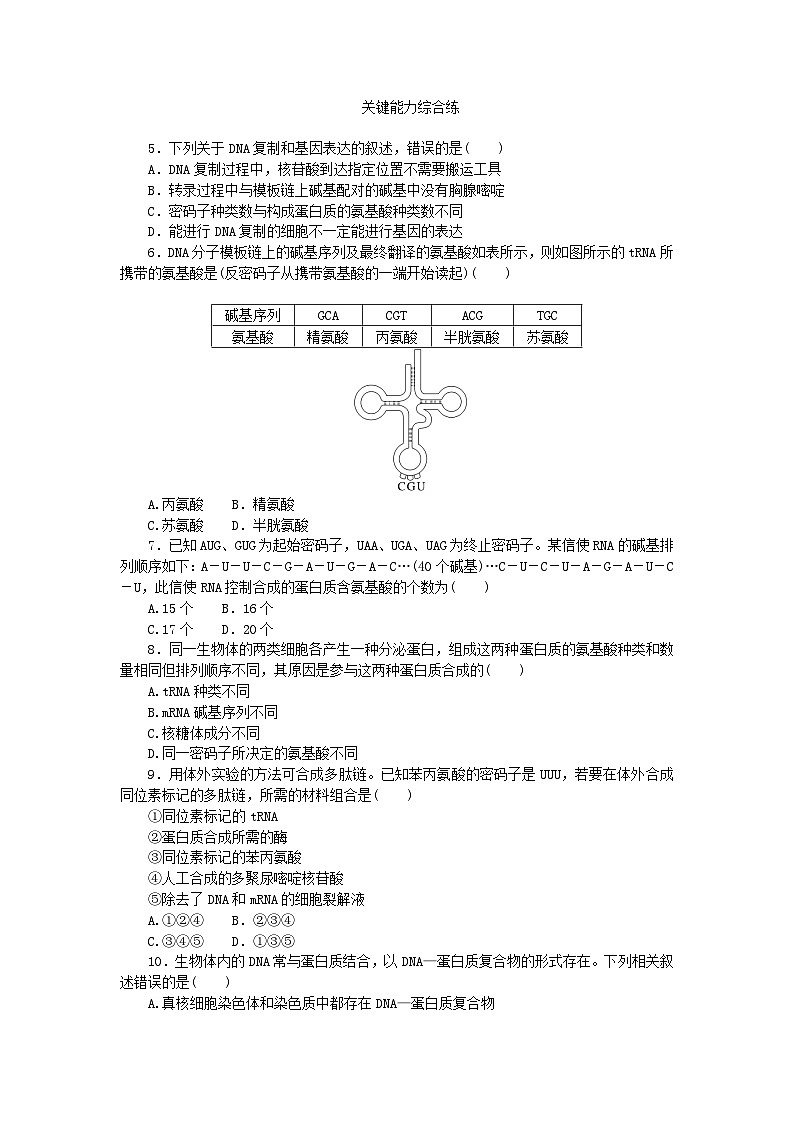 2023版新教材高中生物第4章基因的表达第1节基因指导蛋白质的合成课时作业新人教版必修2第2页