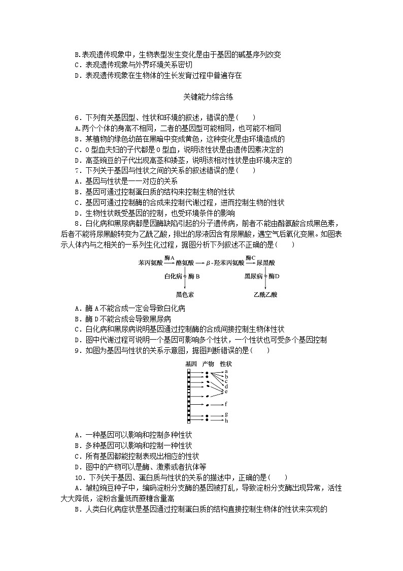 2023版新教材高中生物第4章基因的表达第2节基因表达与性状的关系课时作业新人教版必修202