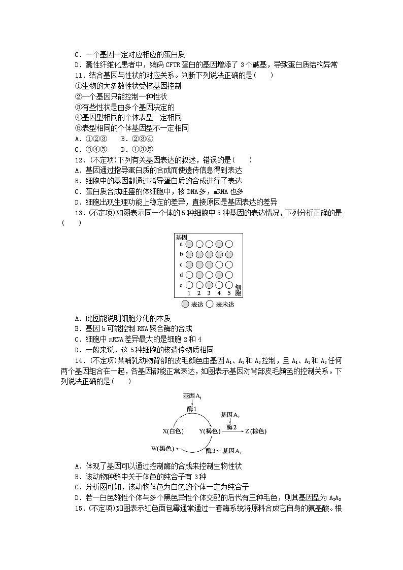 2023版新教材高中生物第4章基因的表达第2节基因表达与性状的关系课时作业新人教版必修203