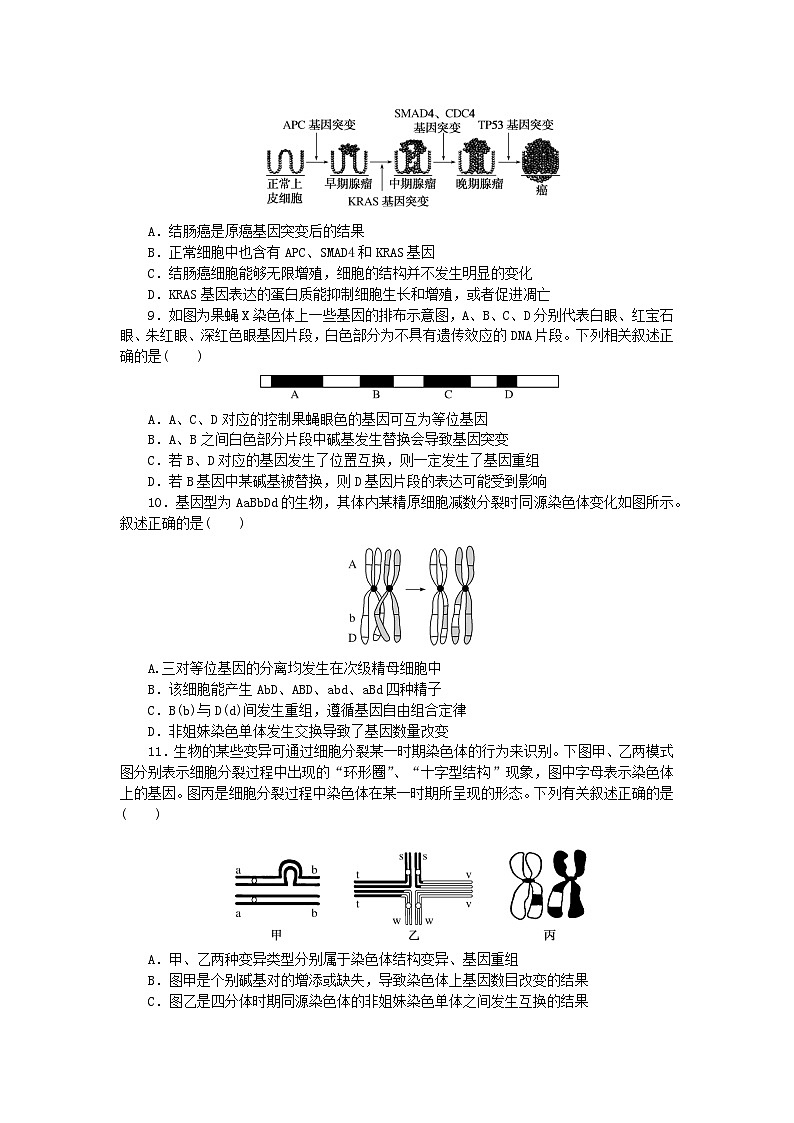 2023版新教材高中生物第5章基因突变及其他变异检测卷新人教版必修2第2页