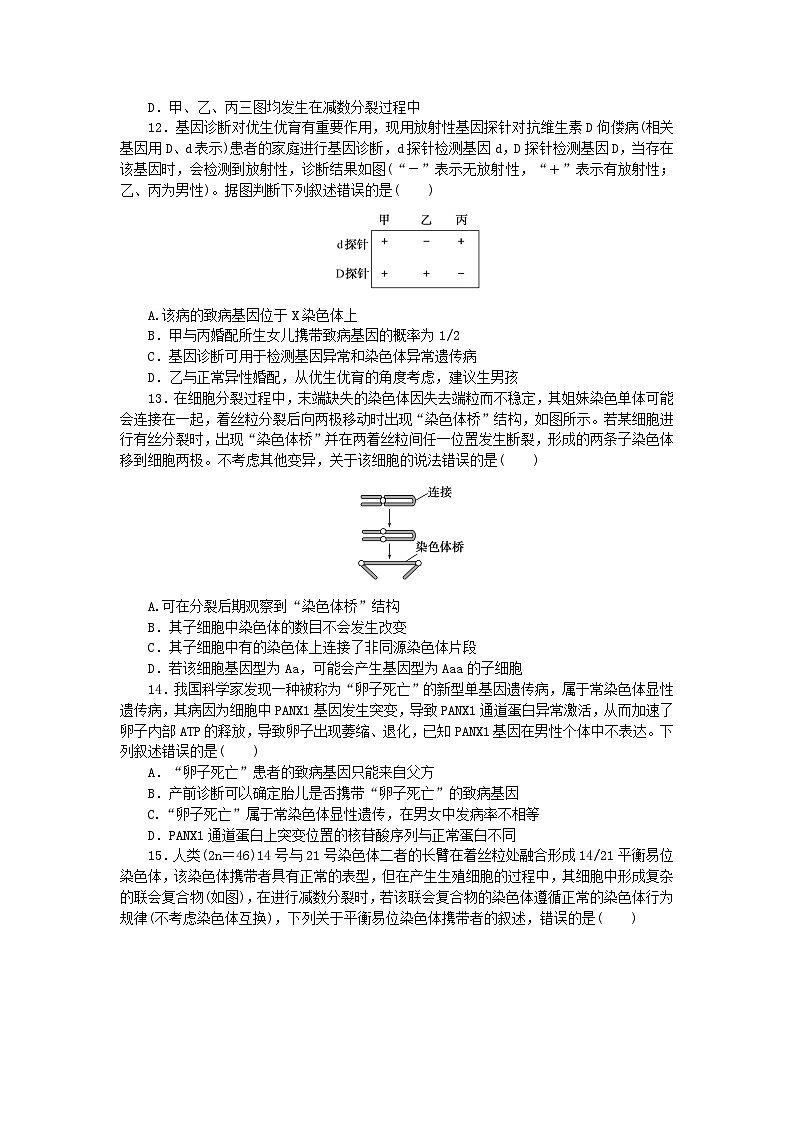 2023版新教材高中生物第5章基因突变及其他变异检测卷新人教版必修2第3页