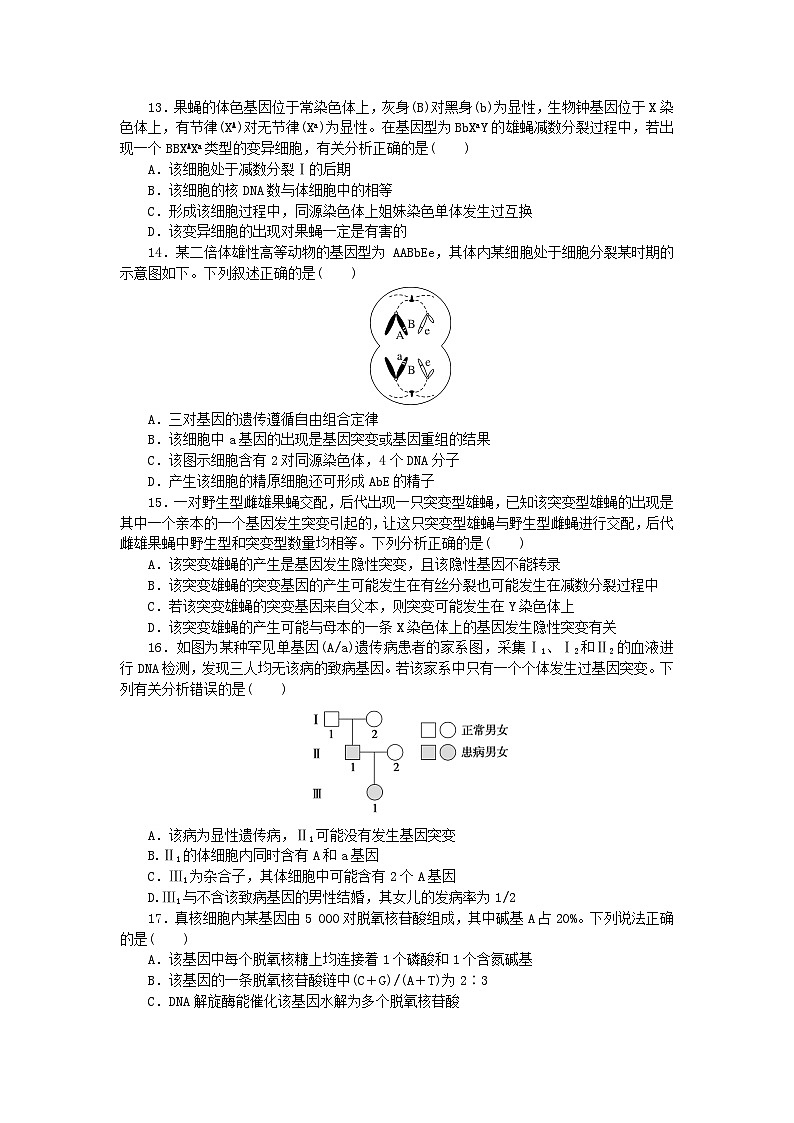 2023版新教材高中生物第5章基因突变及其他变异第1节基因突变和基因重组课时作业新人教版必修203