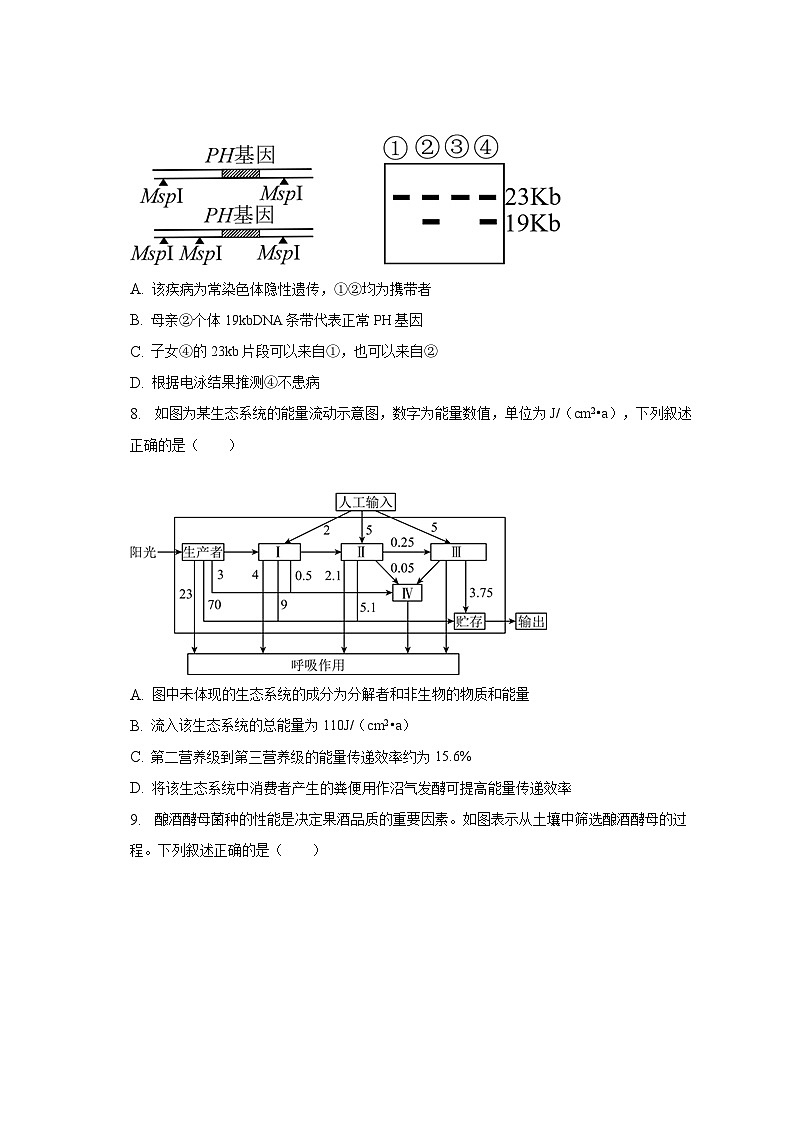 2023年广东省广州市重点大学附中高考生物三模试卷第3页