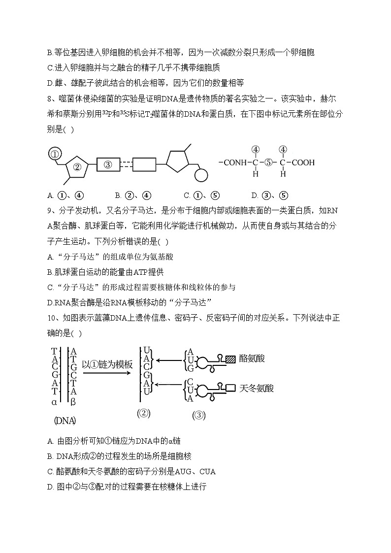 甘肃省金昌市永昌县2021-2022学年高一下学期期末考试生物试卷(含答案)02