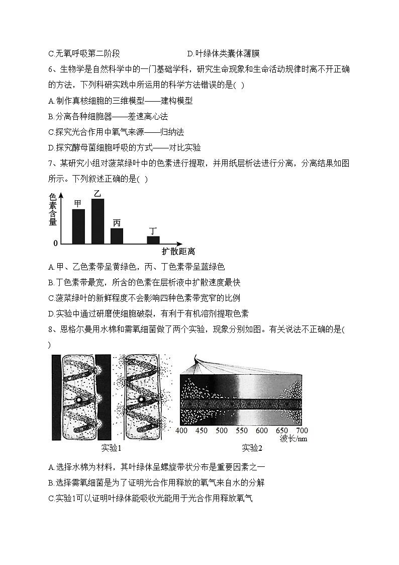 莆田第二十五中学2022-2023学年高一下学期期中考试生物试卷(含答案)第2页