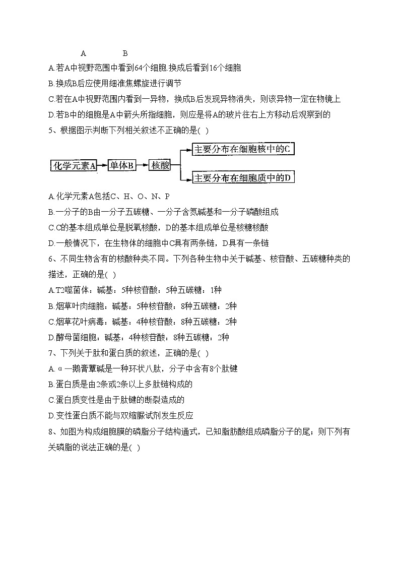 元氏县第四中学2021-2022学年高二下学期期末考试生物试卷(含答案)02