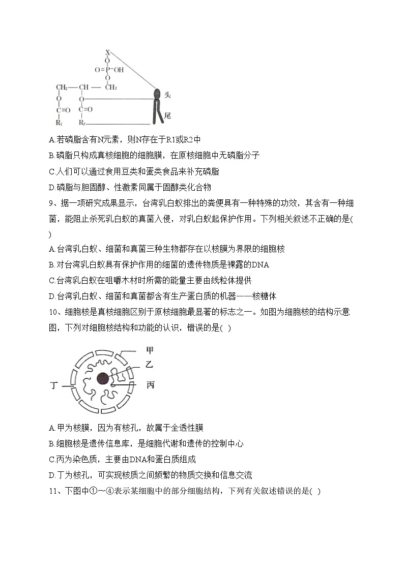 元氏县第四中学2021-2022学年高二下学期期末考试生物试卷(含答案)03