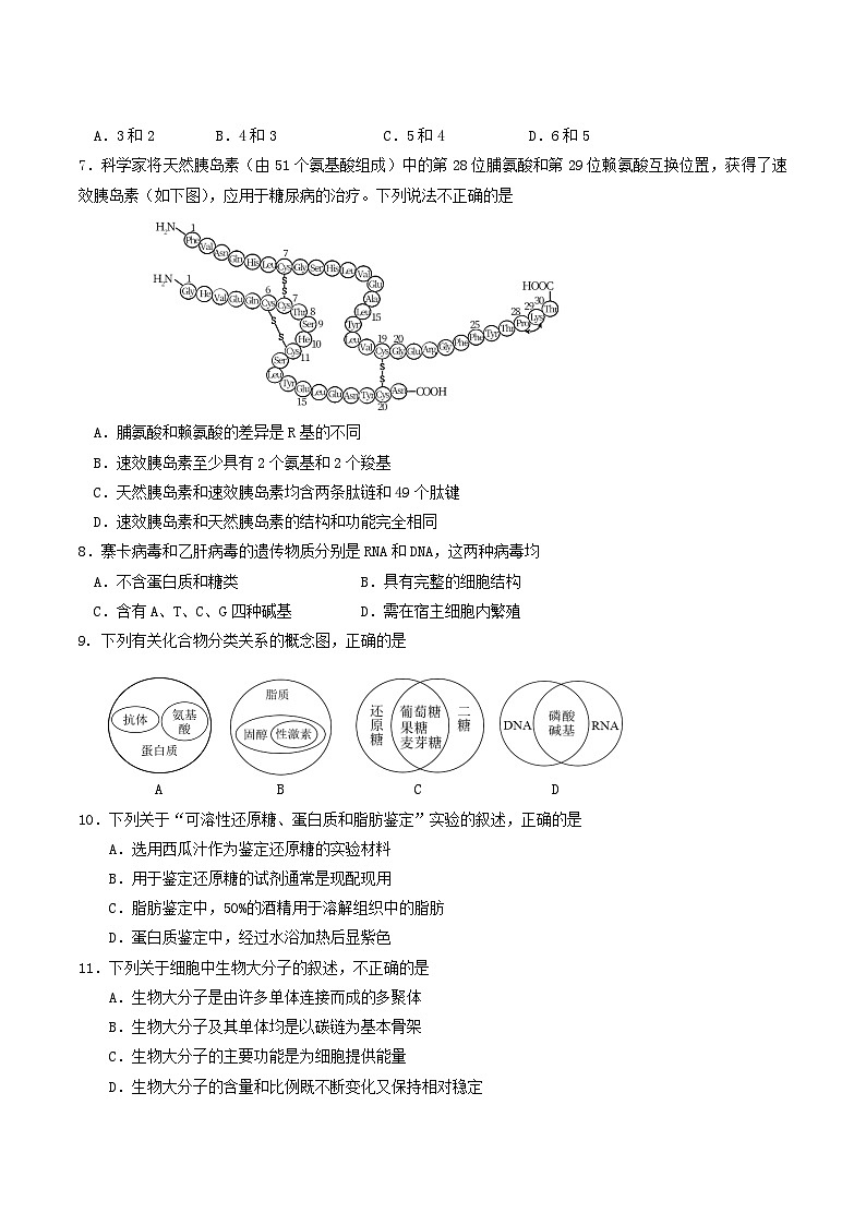 2022北京丰台高一（上）期中生物（A卷）（教师版）第2页