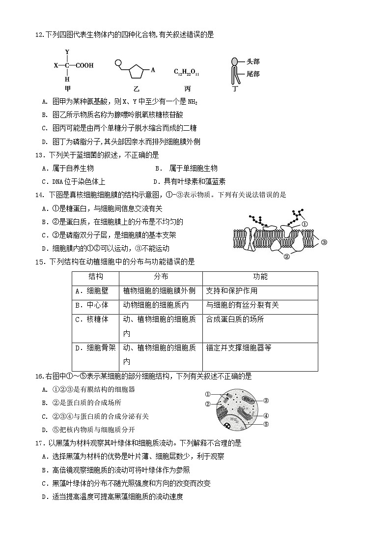 2022北京丰台高一（上）期中生物（A卷）（教师版）第3页