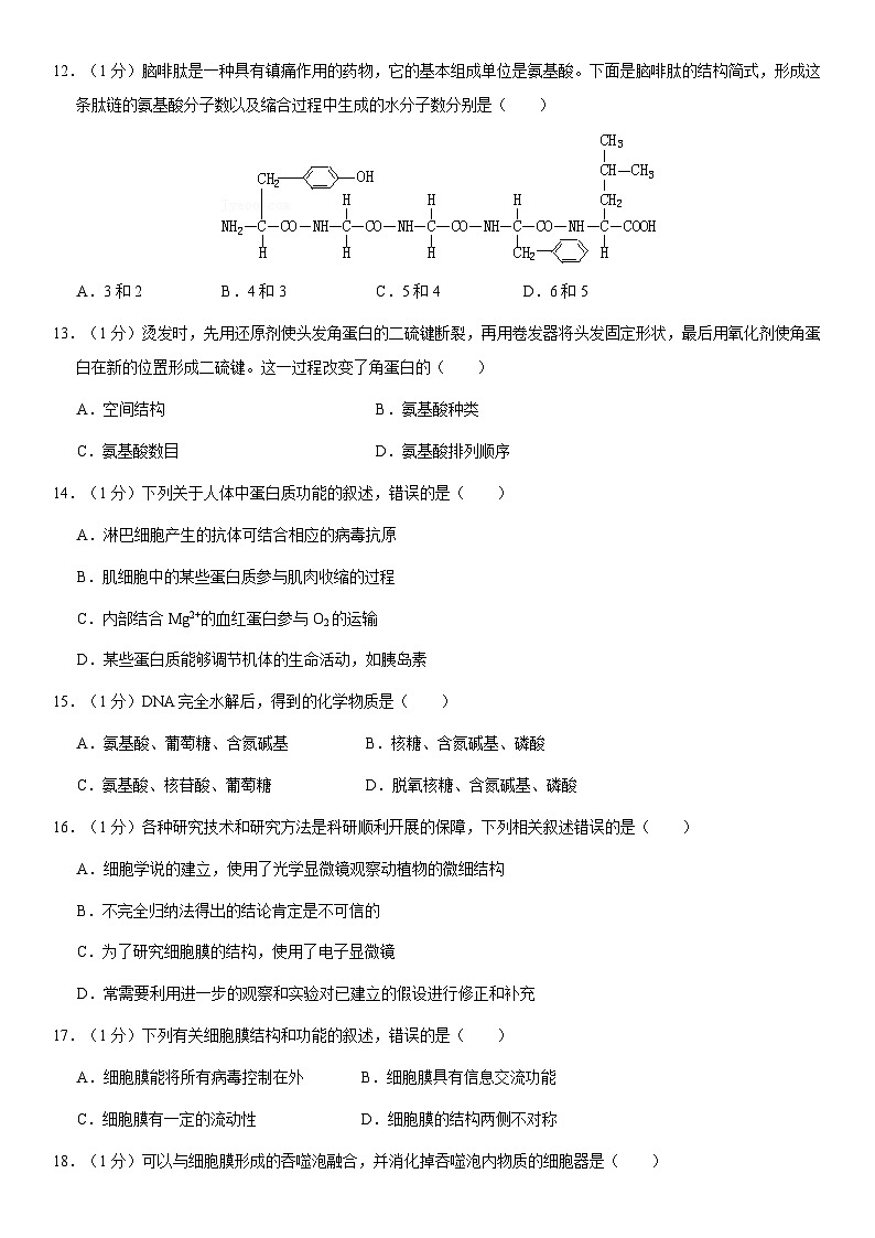 2021北京人大附中高一（上）期中生物（教师版） 试卷03