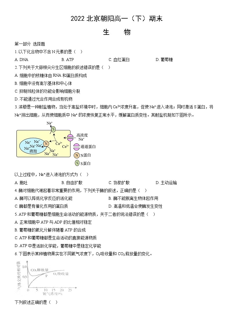 2022北京朝阳高一（下）期末生物（教师版） 试卷01