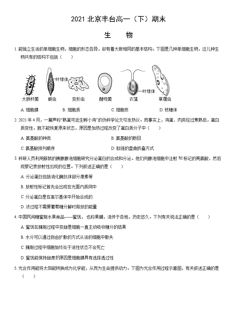 2021北京丰台高一（下）期末生物（教师版）第1页