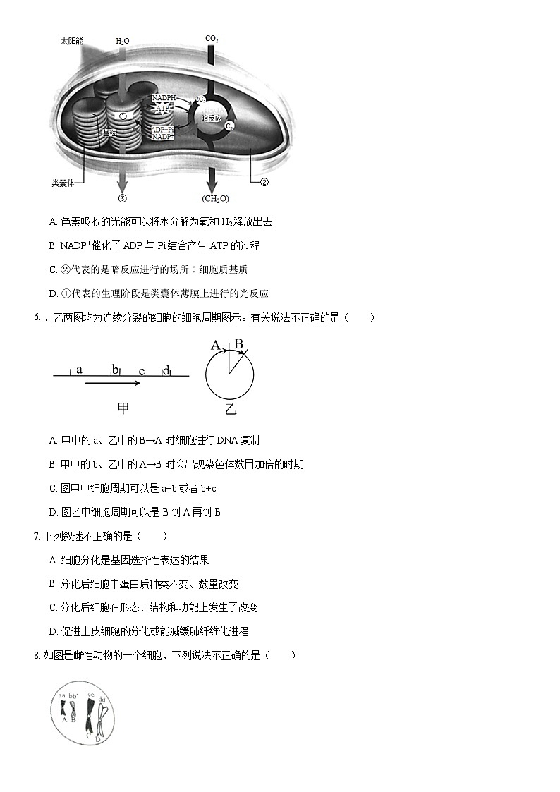 2021北京丰台高一（下）期末生物（教师版）第2页