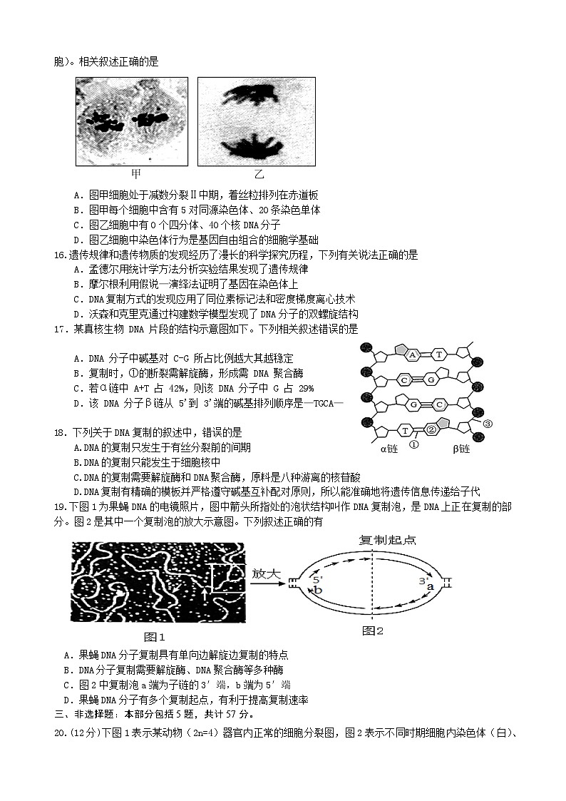 江苏省扬州市高邮市2022-2023学年高一生物下学期期中试题（Word版附答案）03