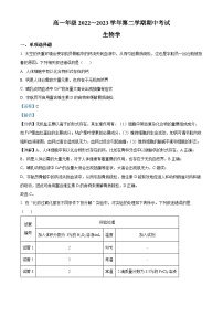 山西省运城市金科大联考2022-2023学年高一生物下学期期中考试试题（Word版附解析）