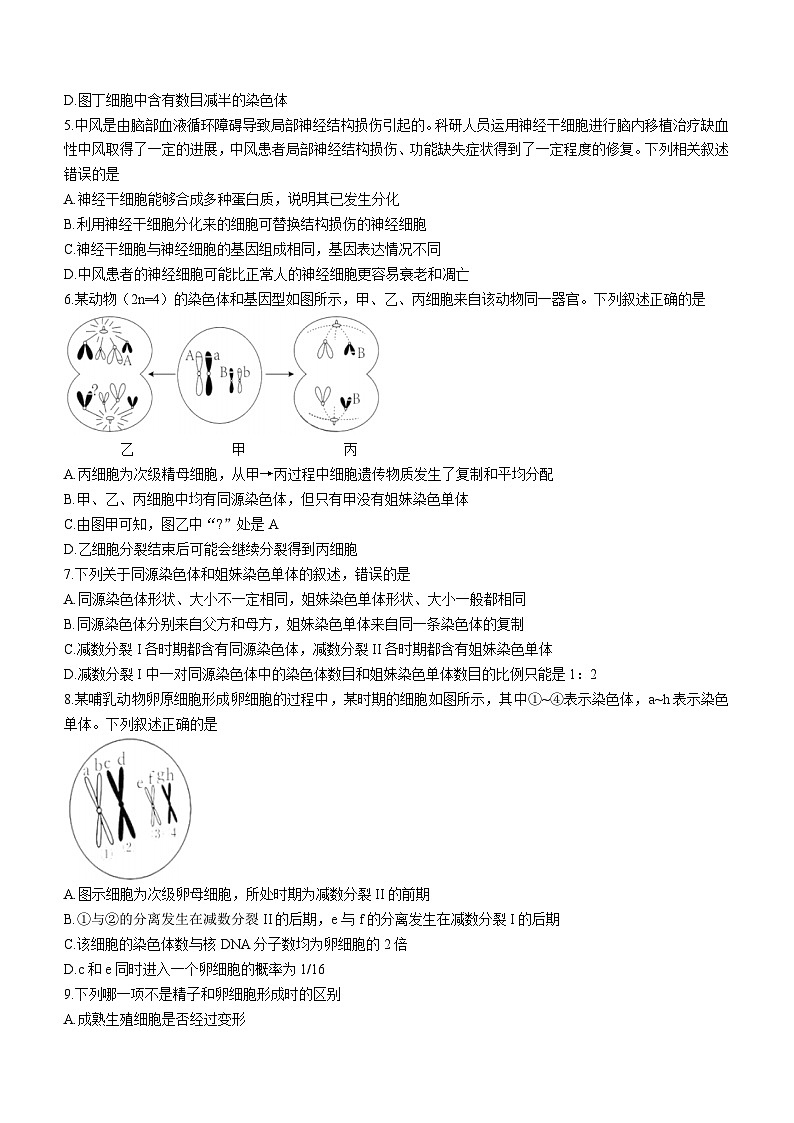 黑龙江省哈尔滨市九中2022-2023学年高一下学期期中生物试试题02