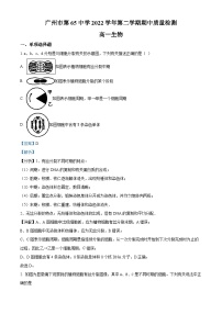 精品解析：广东省广州市六十五中2022-2023学年高一下学期期中生物试题（解析版）