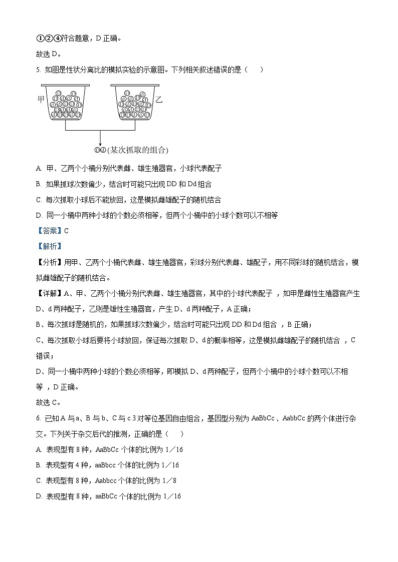精品解析：吉林省长春市博硕学校2022-2023学年高一下学期期中生物试题（解析版）03