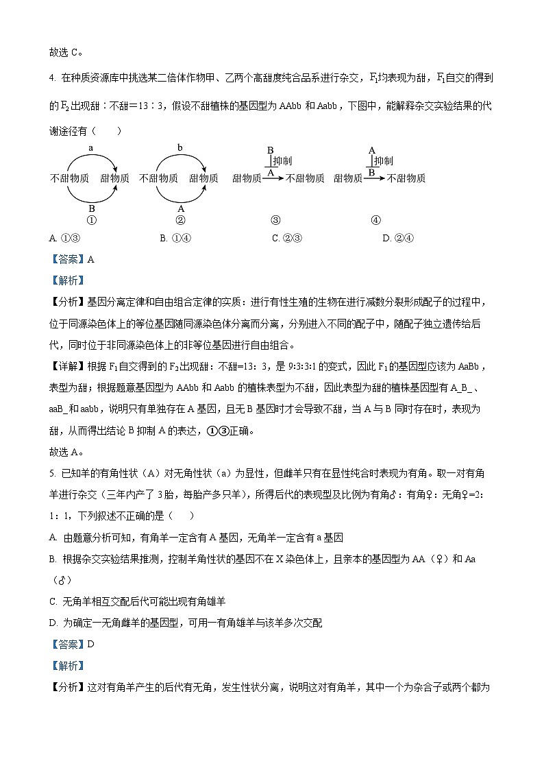 精品解析：云南省景洪市曲靖一中景洪学校2022-2023学年高一下学期期中生物试题（解析版）03
