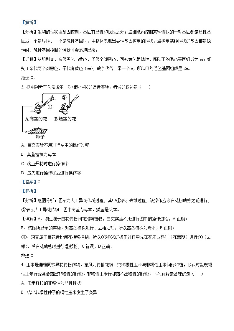 精品解析：云南省昆明市一中2022-2023学年高一下学期期中生物试题（解析版）第2页