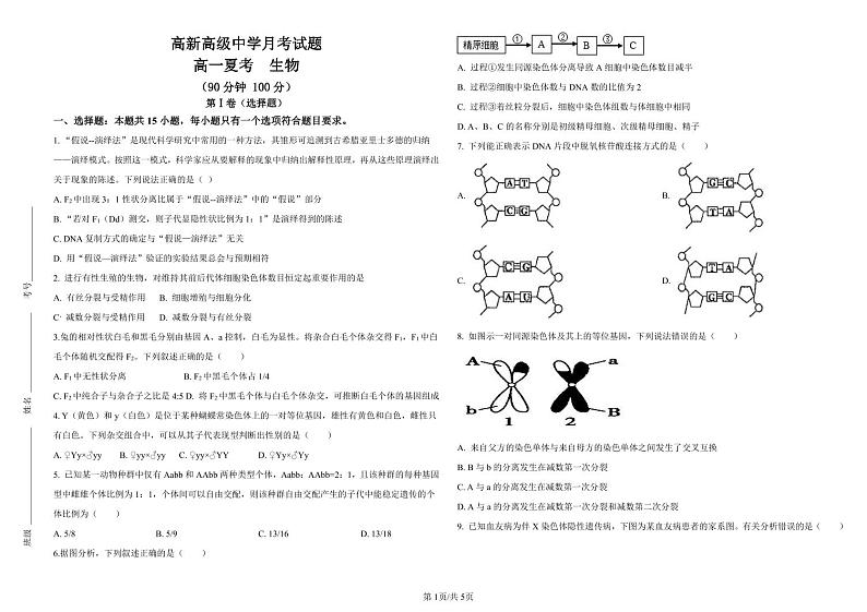 山东省滨州市高新高级中学2022-2023学年高一下学期期中考试生物试题第1页