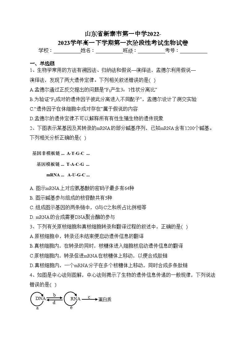 山东省新泰市第一中学2022-2023学年高一下学期第一次阶段性考试生物试卷(含答案)01