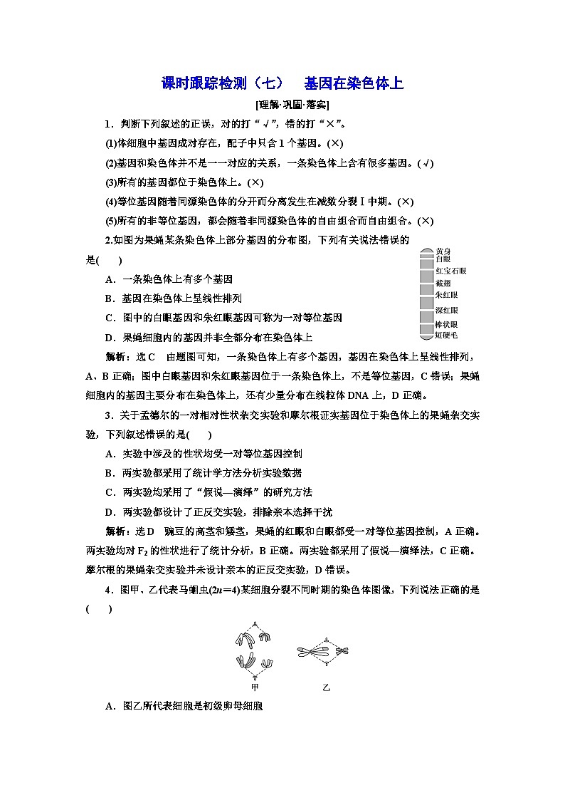 人教版高中生物必修2课时跟踪检测（七）基因在染色体上含答案第1页