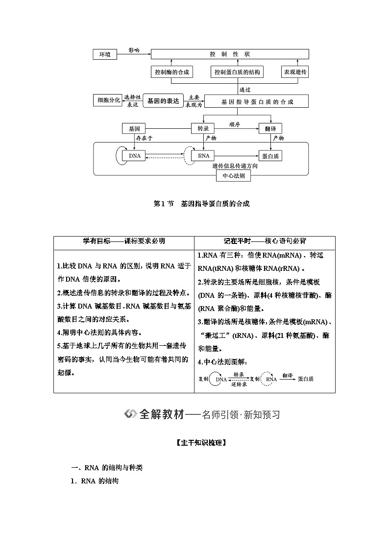 人教版高中生物必修2第4章基因的表达学案含答案第2页