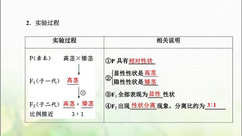 人教版高中生物必修2第1章遗传因子的发现第1课时分离定律的发现课件第7页