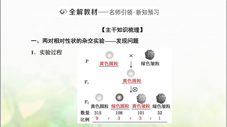 人教版高中生物必修2第1章遗传因子的发现第1课时自由组合定律的发现课件第2页