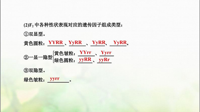 人教版高中生物必修2第1章遗传因子的发现第1课时自由组合定律的发现课件第7页