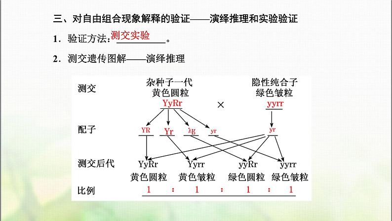 人教版高中生物必修2第1章遗传因子的发现第1课时自由组合定律的发现课件第8页