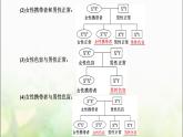 人教版高中生物必修2第2章基因和染色体的关系第3节伴性遗传课件